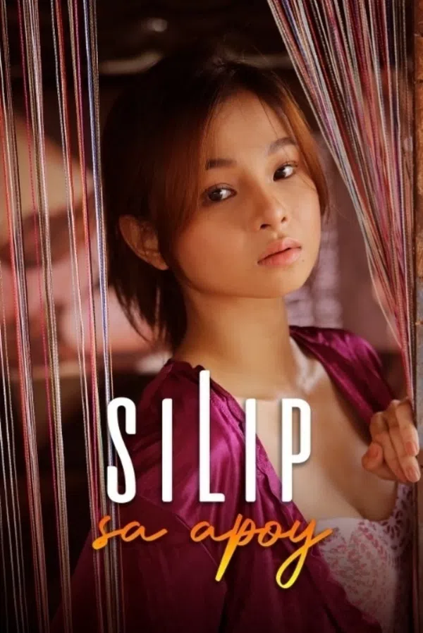 Poster phim Cô Nội Trợ Đa Tình trên PhimMoi
