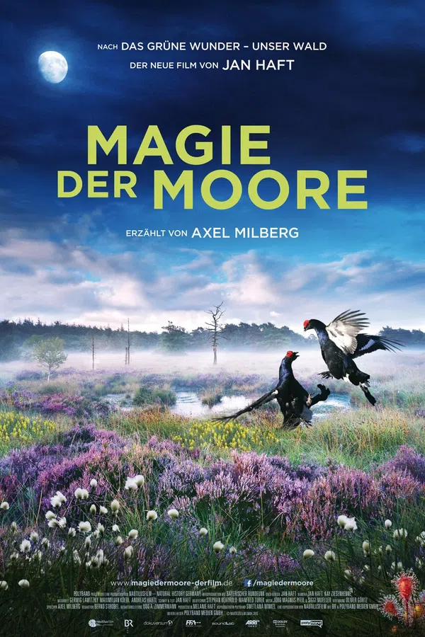 Poster phim Magie der Moore trên PhimMoi